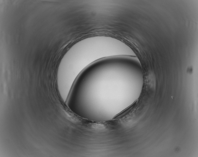 X0000091490572200708161213