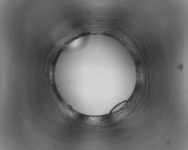 X0000091490573200708161213