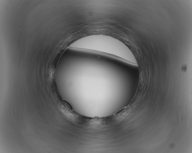 X0000091490574200708161213