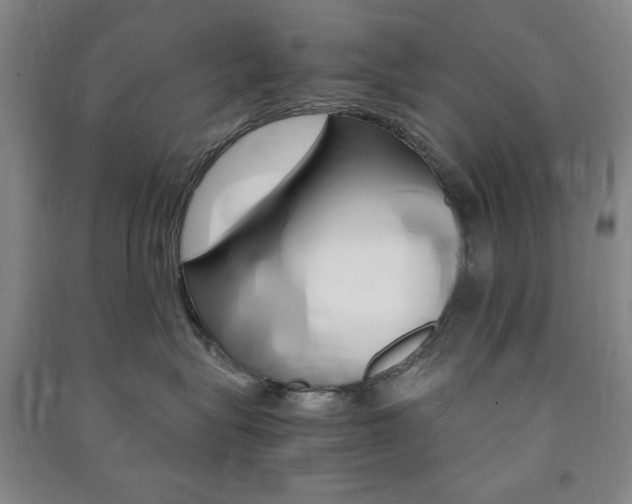 X0000091490575200708161213