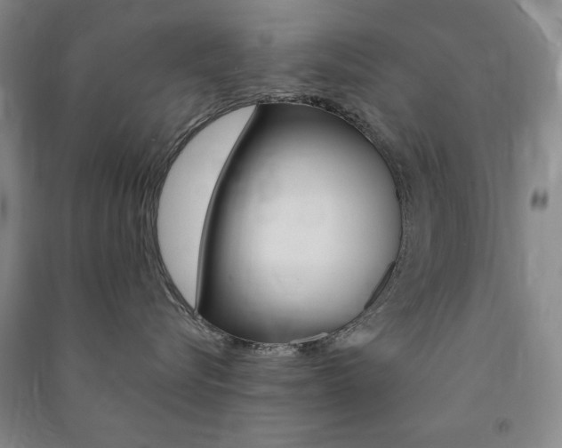X0000091490576200708161213