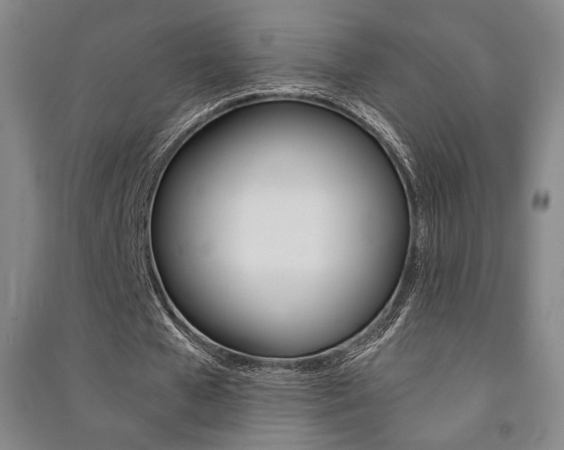 X0000091490577200708161212