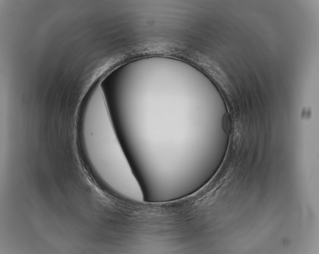 X0000091490578200708161212