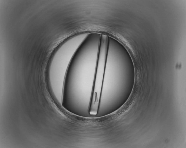 X0000091490581200708161212