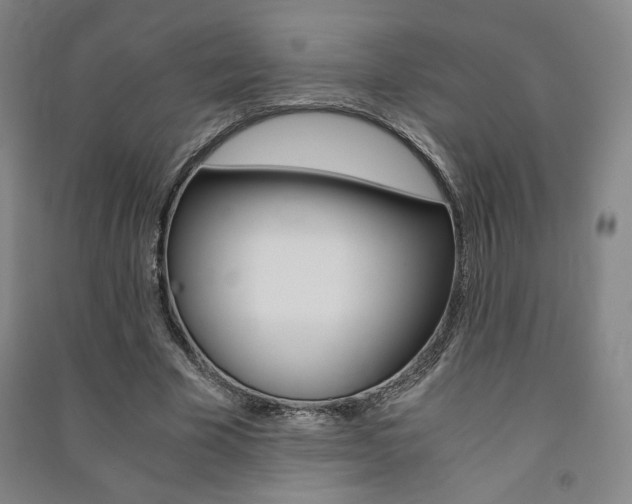 X0000091490585200708161212