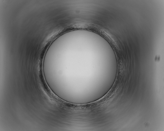 X0000091490586200708161212
