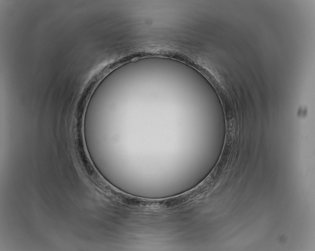 X0000091490587200708161212