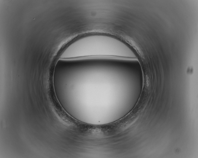 X0000091490588200708161212