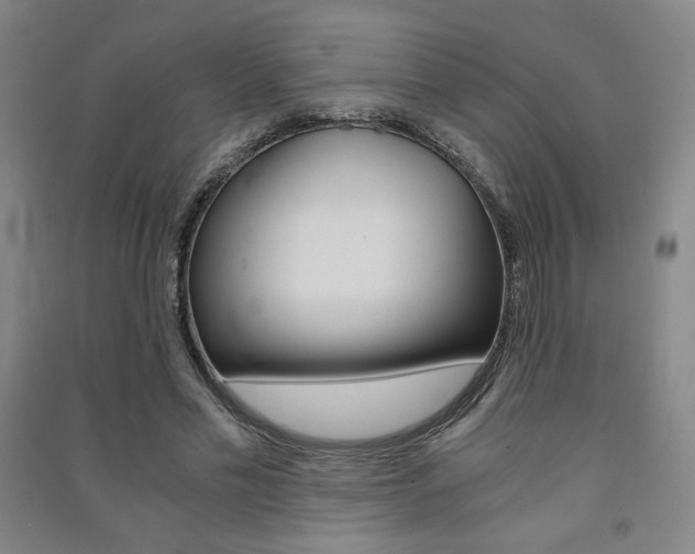 X0000091490589200708161212