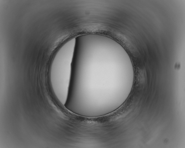X0000091490590200708161212