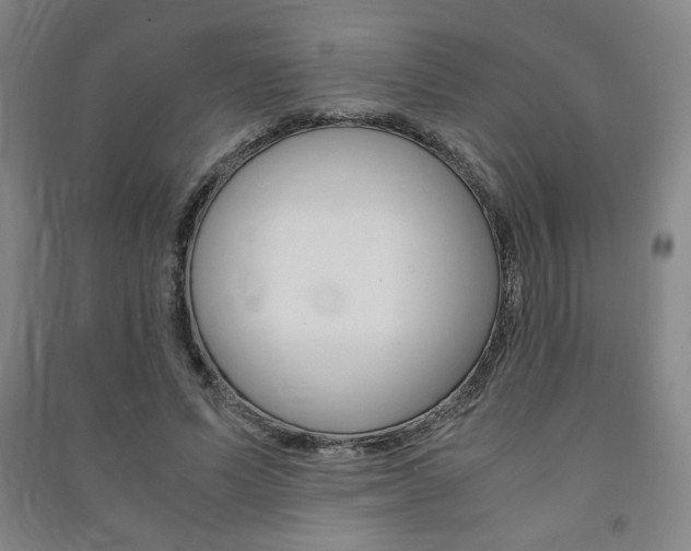 X0000091490591200708161212
