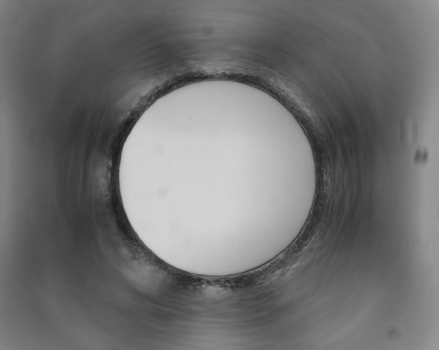 X0000091490592200708161212
