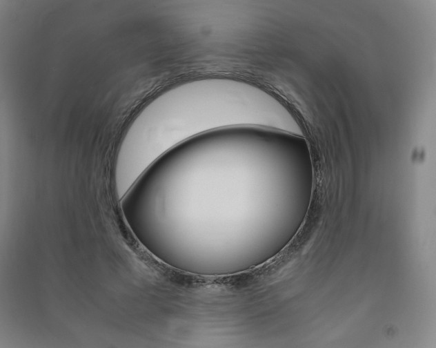 X0000091490593200708161212