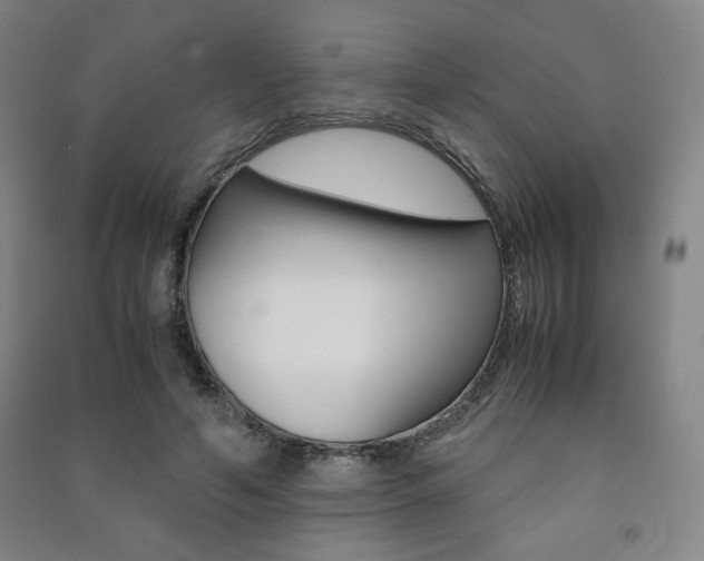 X0000091490594200708161212