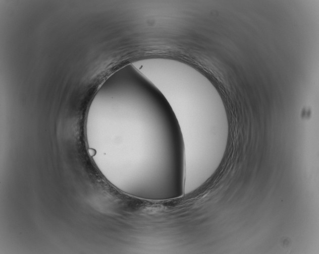 X0000091490595200708161212