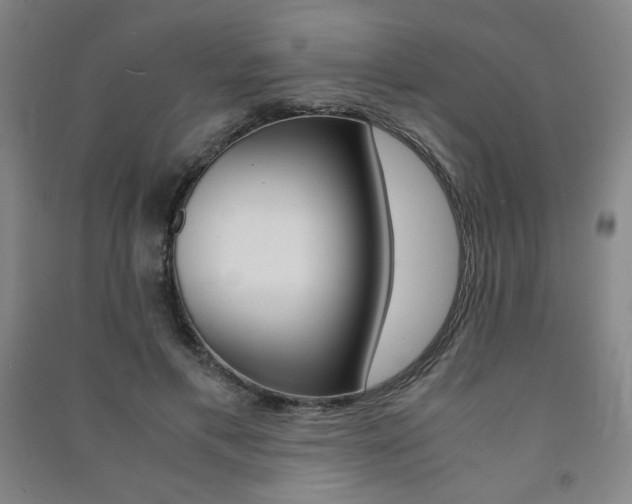 X0000091490597200708161212