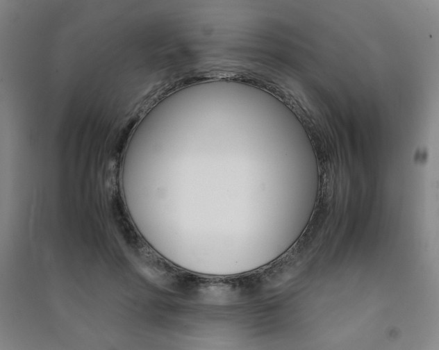X0000091490598200708161212