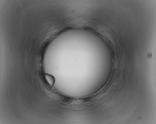 X0000091490599200708161212