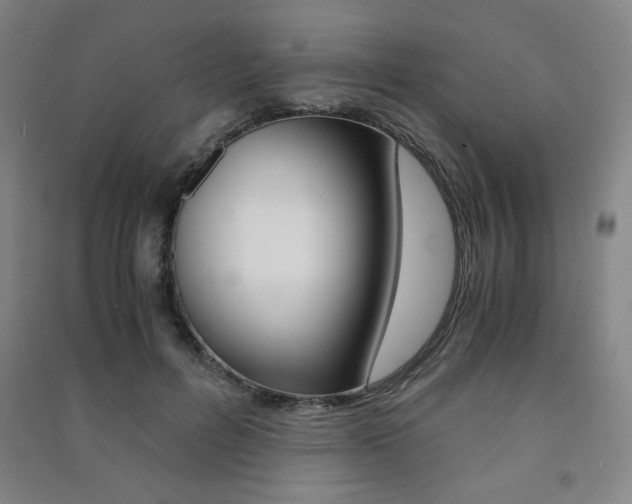 X0000091490600200708161212