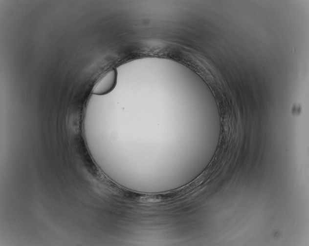 X0000091490602200708161212