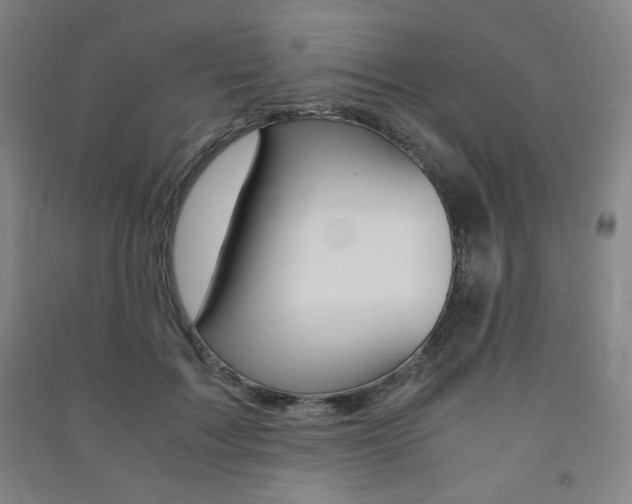 X0000091490603200708161211