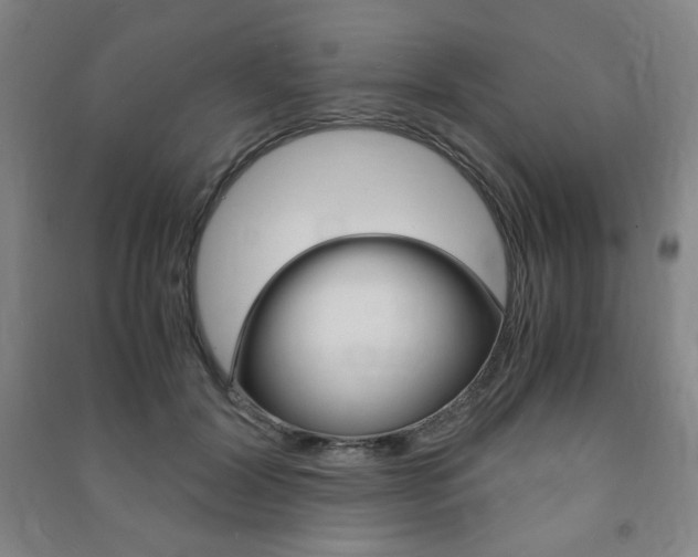 X0000091490604200708161211