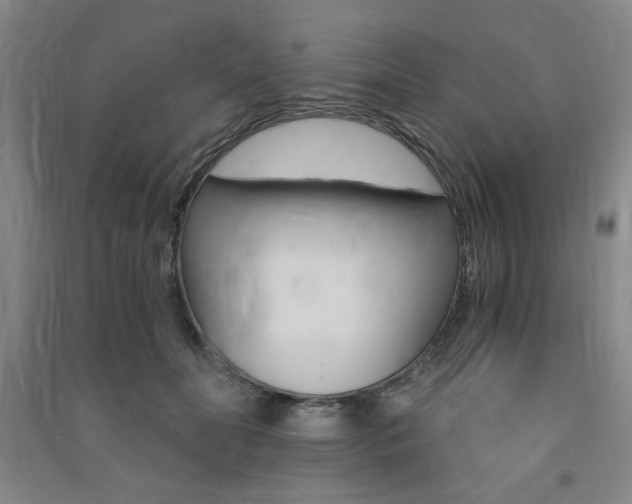 X0000091490606200708161211