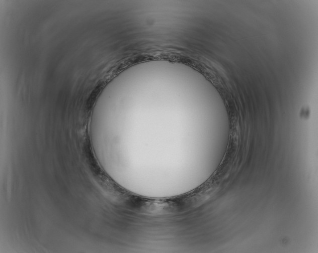 X0000091490607200708161211