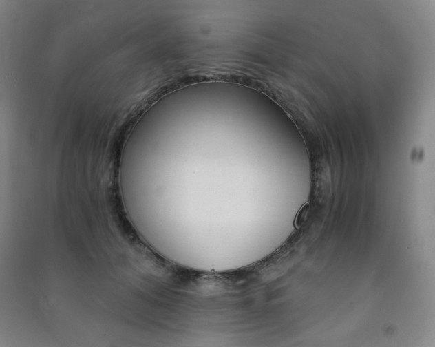 X0000091490608200708161211