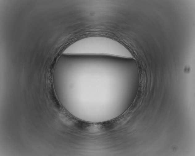 X0000091490609200708161211