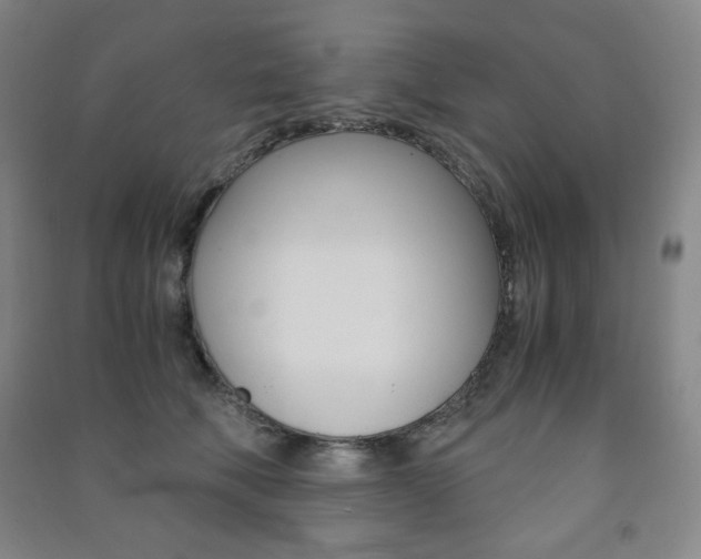 X0000091490610200708161211