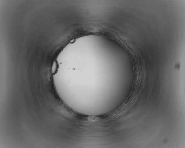 X0000091490612200708161211