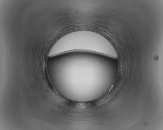 X0000091490613200708161211