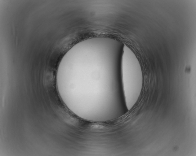 X0000091490614200708161211