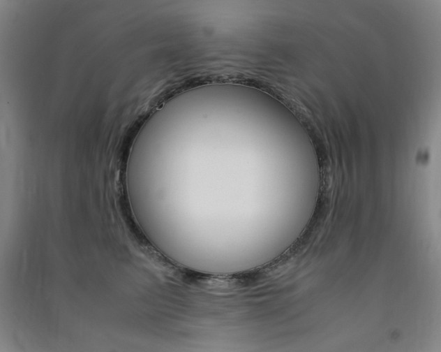 X0000091490615200708161211
