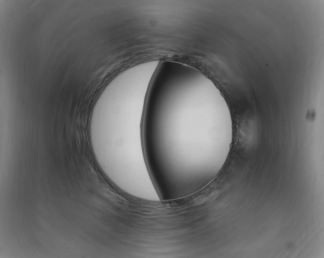 X0000091490616200708161211