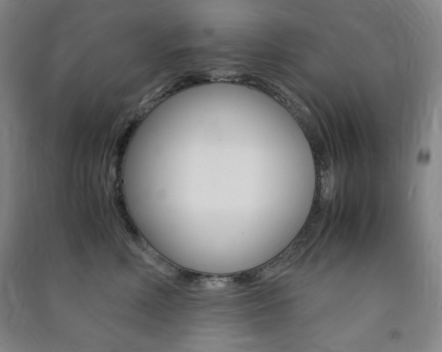 X0000091490618200708161211