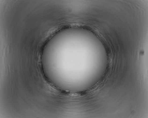 X0000091490619200708161211