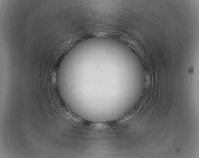 X0000091490621200708161211