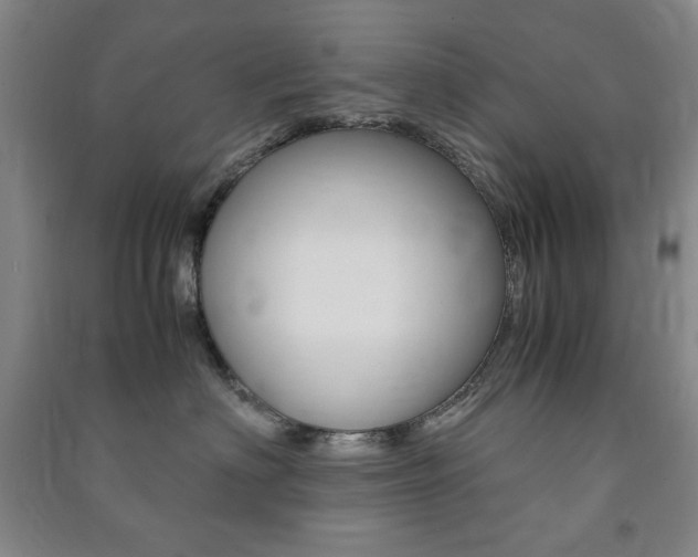 X0000091490622200708161211