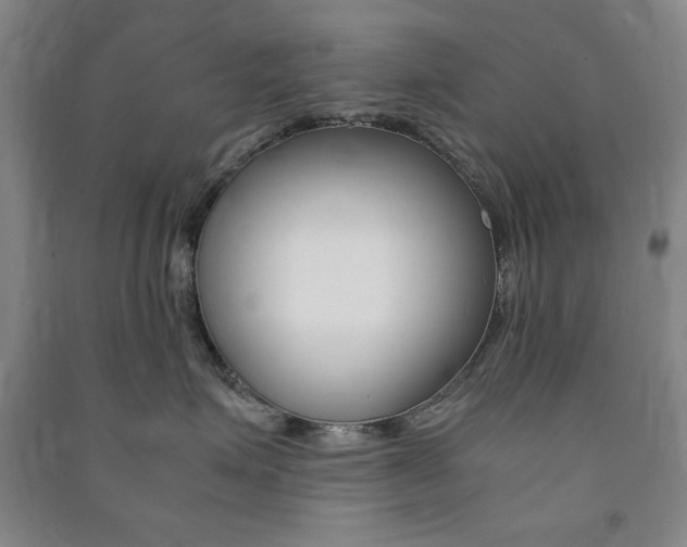 X0000091490623200708161211