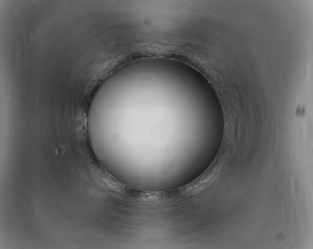X0000091490624200708161211