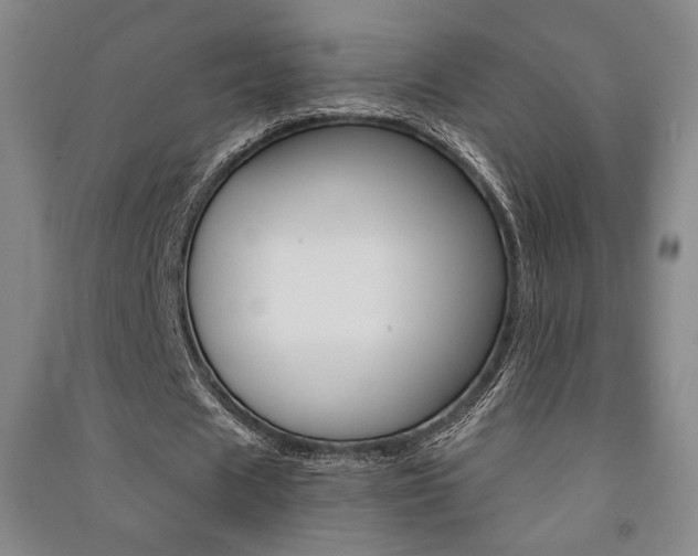 X0000091490625200708161211