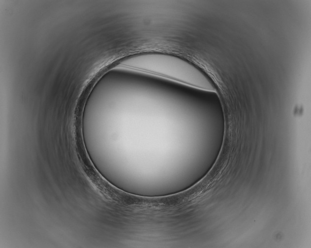 X0000091490626200708161211