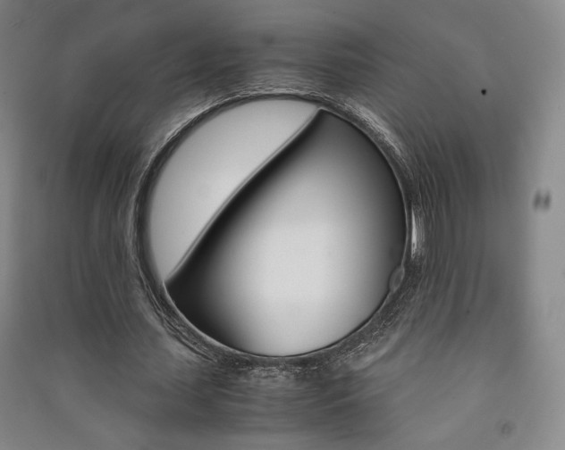 X0000091490627200708161211