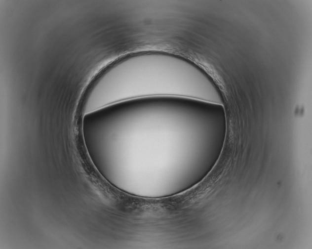 X0000091490628200708161211