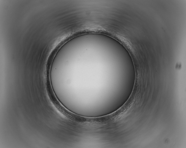 X0000091490630200708161211