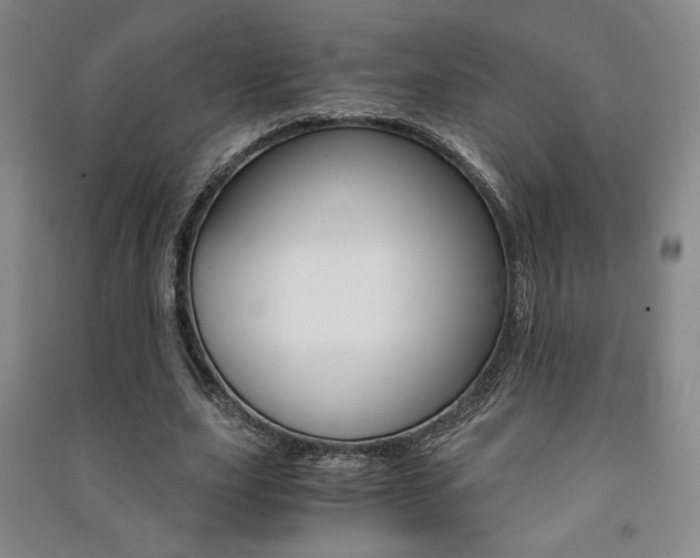 X0000091490631200708161211