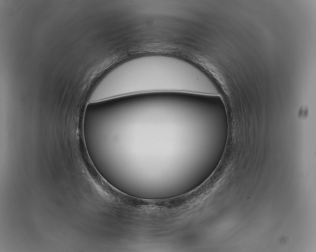 X0000091490633200708161211