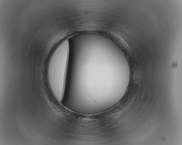 X0000091490635200708161211